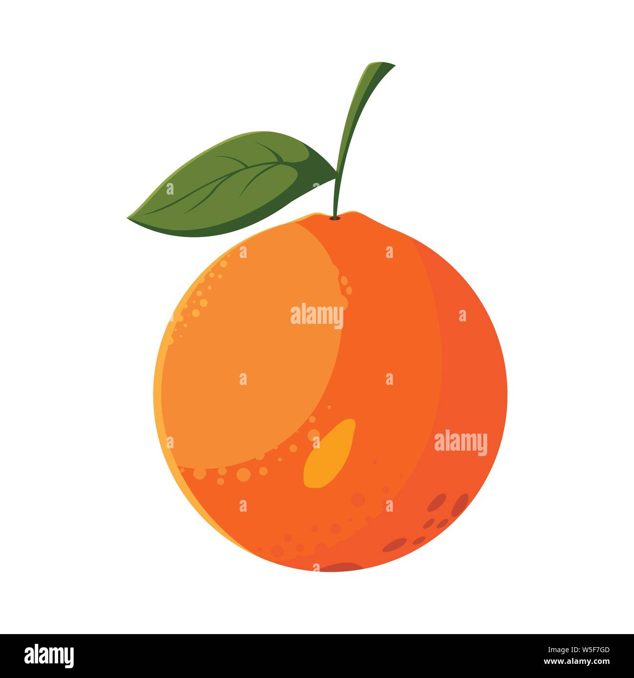 orange fresh fruit in white background vector illustration Stock Vector ...