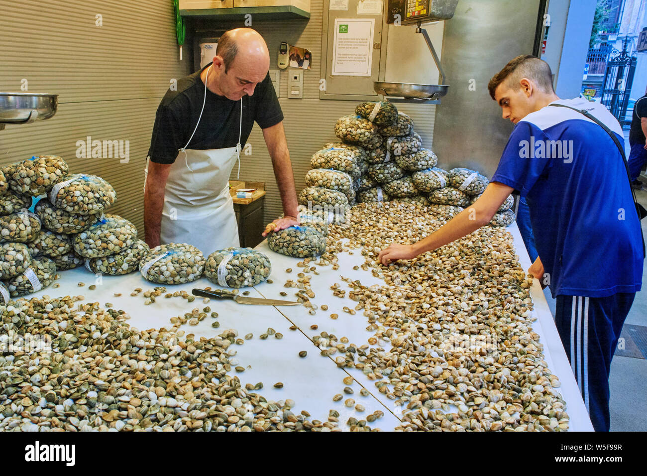 the magnificent fish and shell market in Malaga Andalusia, Spain Stock Photo