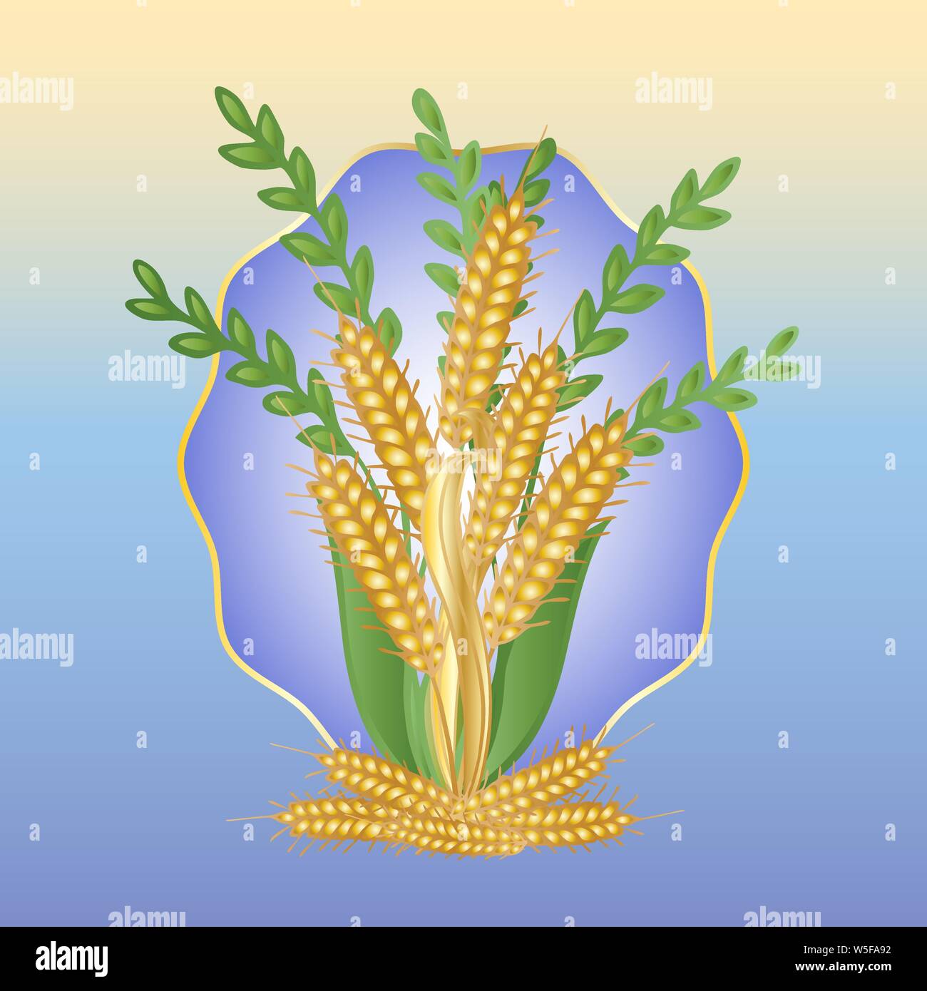 Bouquet of ears of wheat and grasses on a blue background Stock Vector