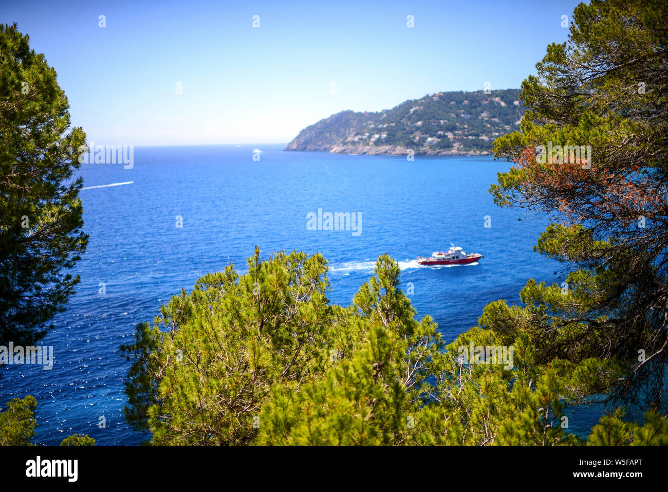 cap vermell mallorca