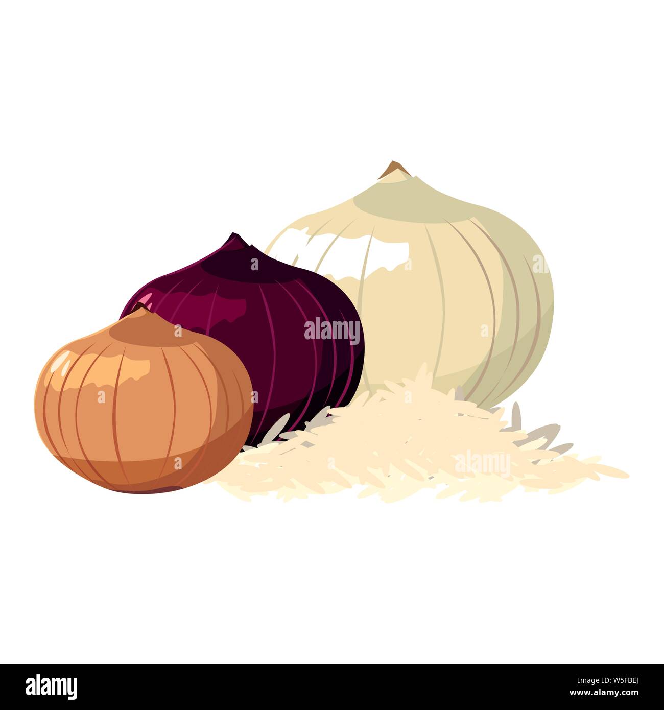 onions red and white vegetables vector illustration Stock Vector Image ...