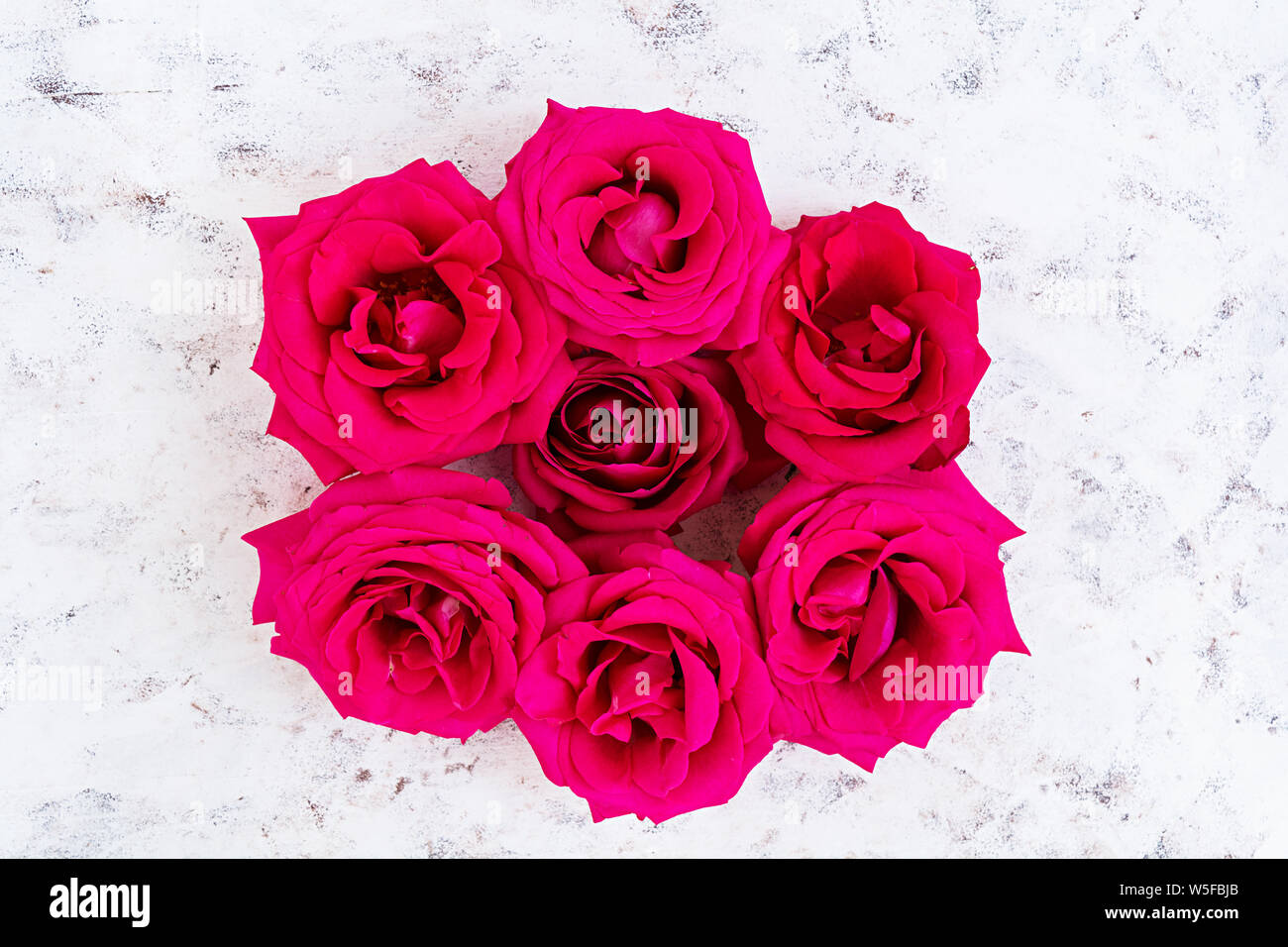 Pink roses on white background. Top view Stock Photo - Alamy