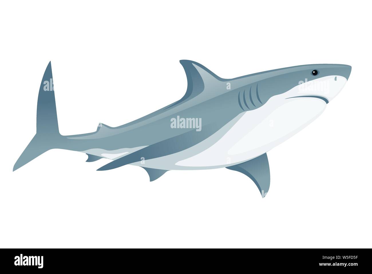 Shark with mouth closed giant apex predator cartoon animal design flat ...
