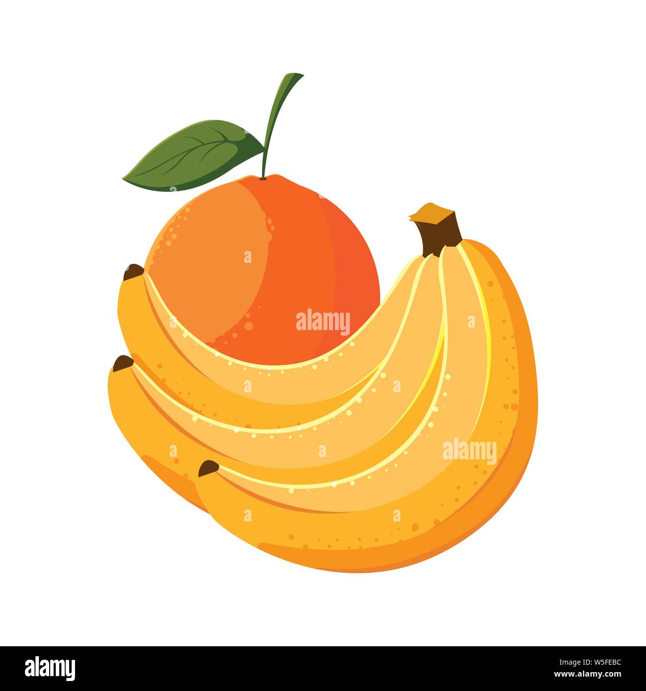 fresh fruits bananas and orange vector illustration Stock Vector Image