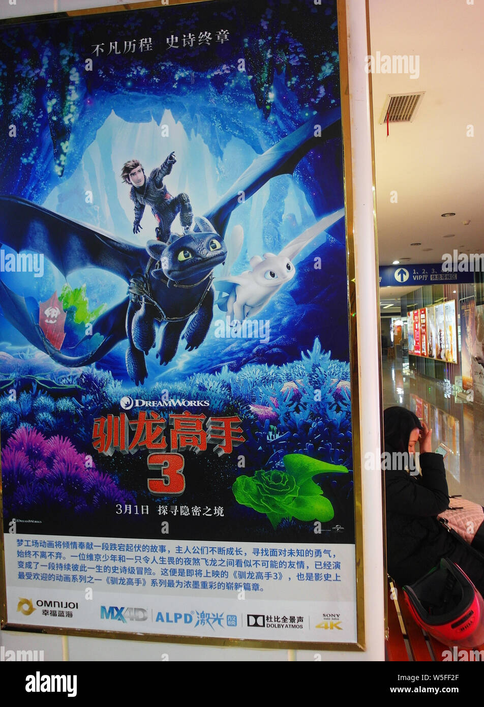 How To Train Your Dragon 3 Poster