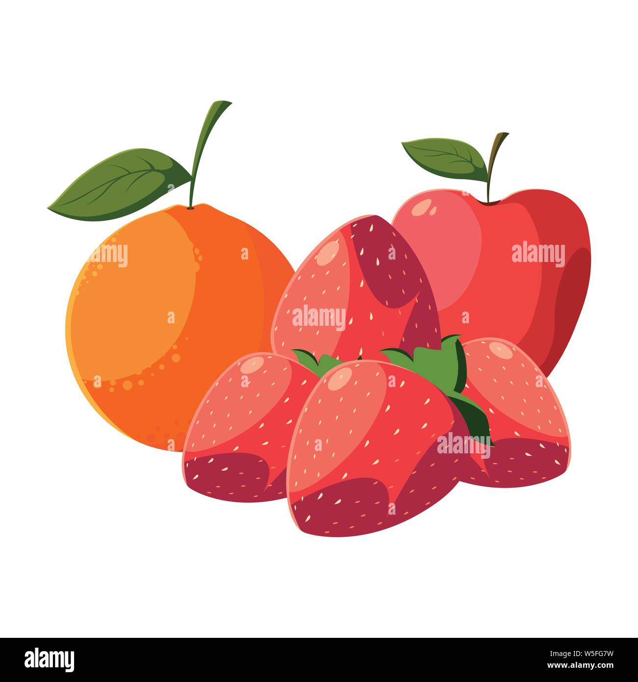 fresh fruits orange apple and grapes vector illustration Stock Vector ...