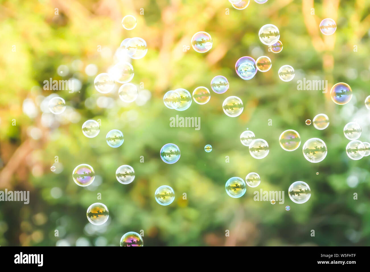 soap bubbles on green nature background Stock Photo - Alamy
