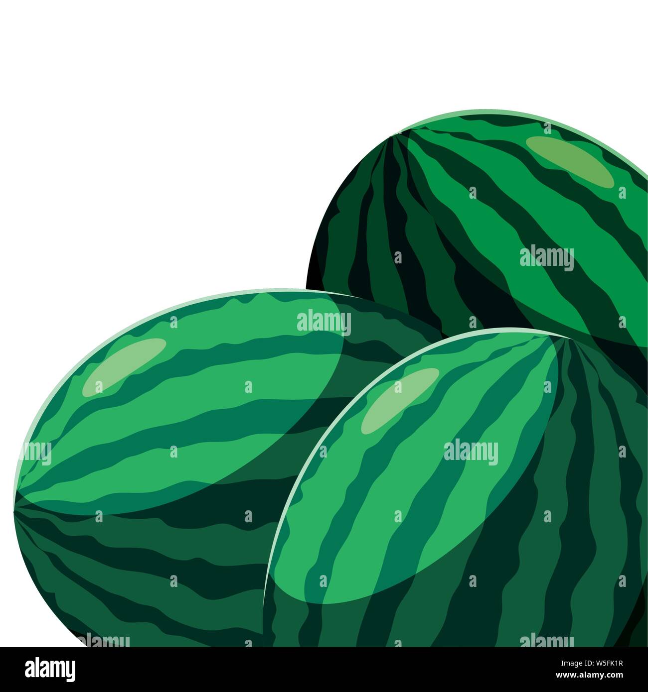 watermelon fresh fruit in white background vector illustration Stock ...