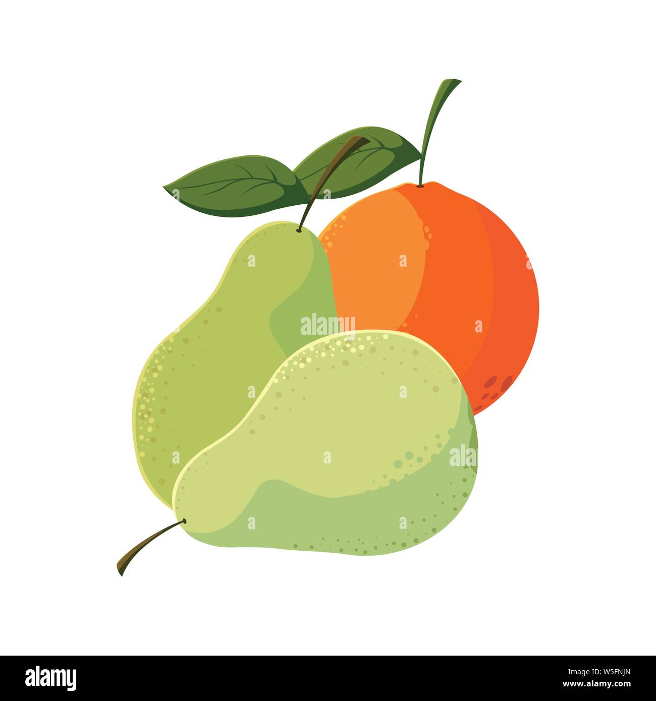 fresh fruits pears and orange vector illustration Stock Vector Image ...