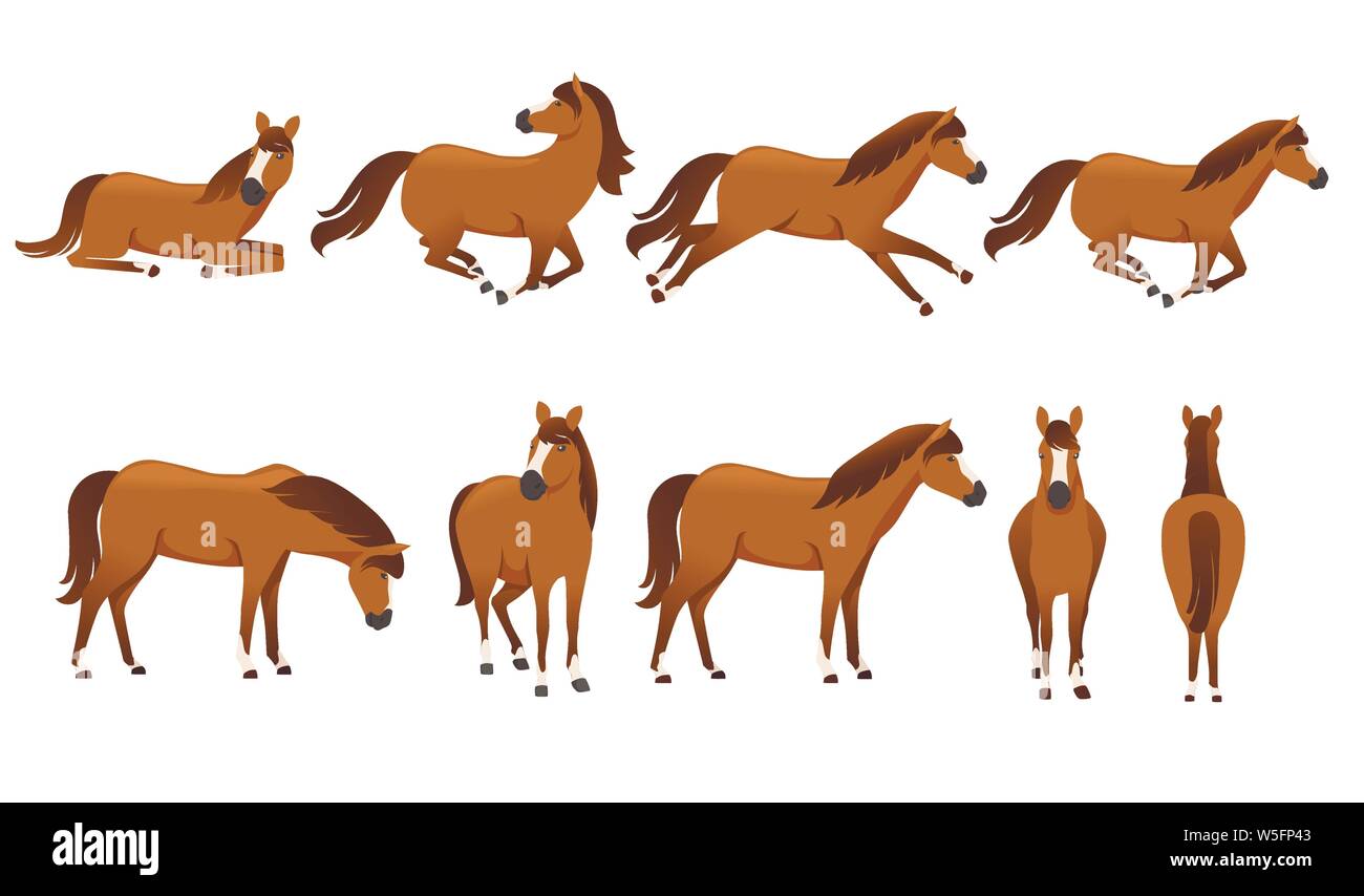 Set of brown horse wild or domestic animal cartoon design flat vector illustration isolated on white background. Stock Vector