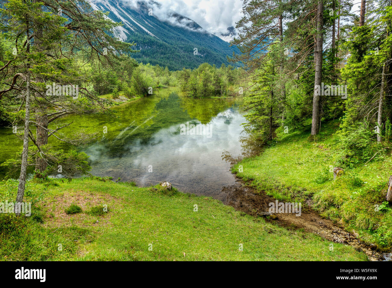 Austria, Tyrol, Lechtal, Naturpark Tiroler Lech, pond, riparian forest Stock Photo