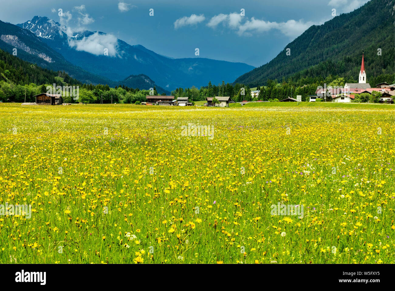 Austria, Tyrol, Naturpark Tiroler Lech, Lechtal, pastureland, Elmen village Stock Photo