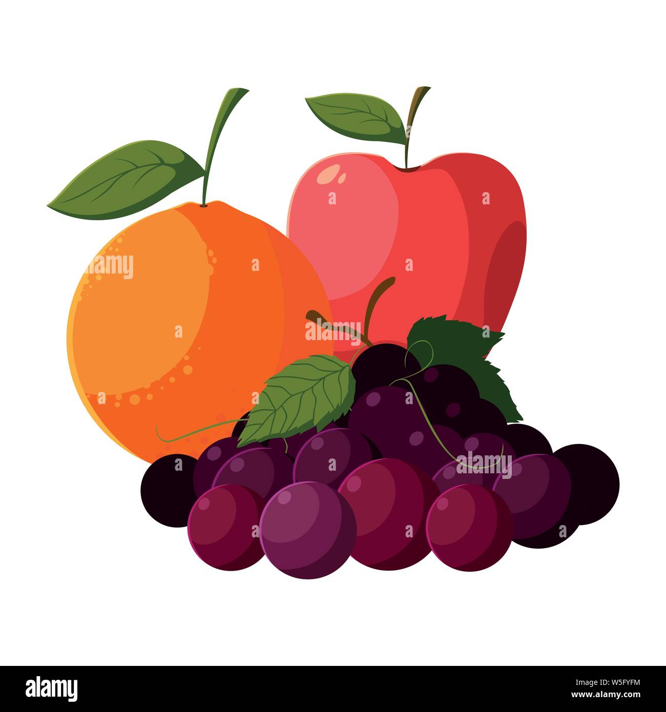 fresh fruits orange apple and grapes vector illustration Stock Vector ...