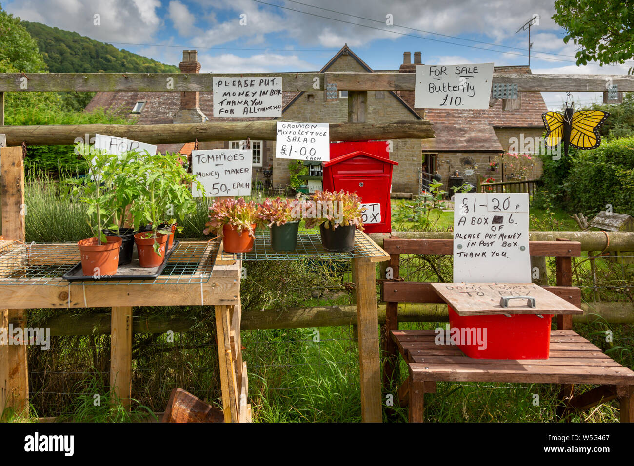 Entrance to a rural house, near Ludlow, Shropshire, UK, selling home made birdboxes and plants, with an honesty box. Stock Photo