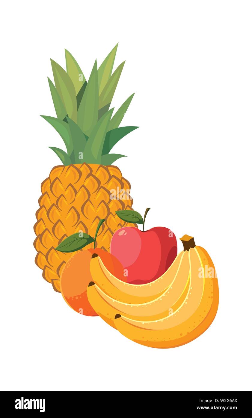 fresh fruits pineapple apple and bananas vector illustration Stock ...