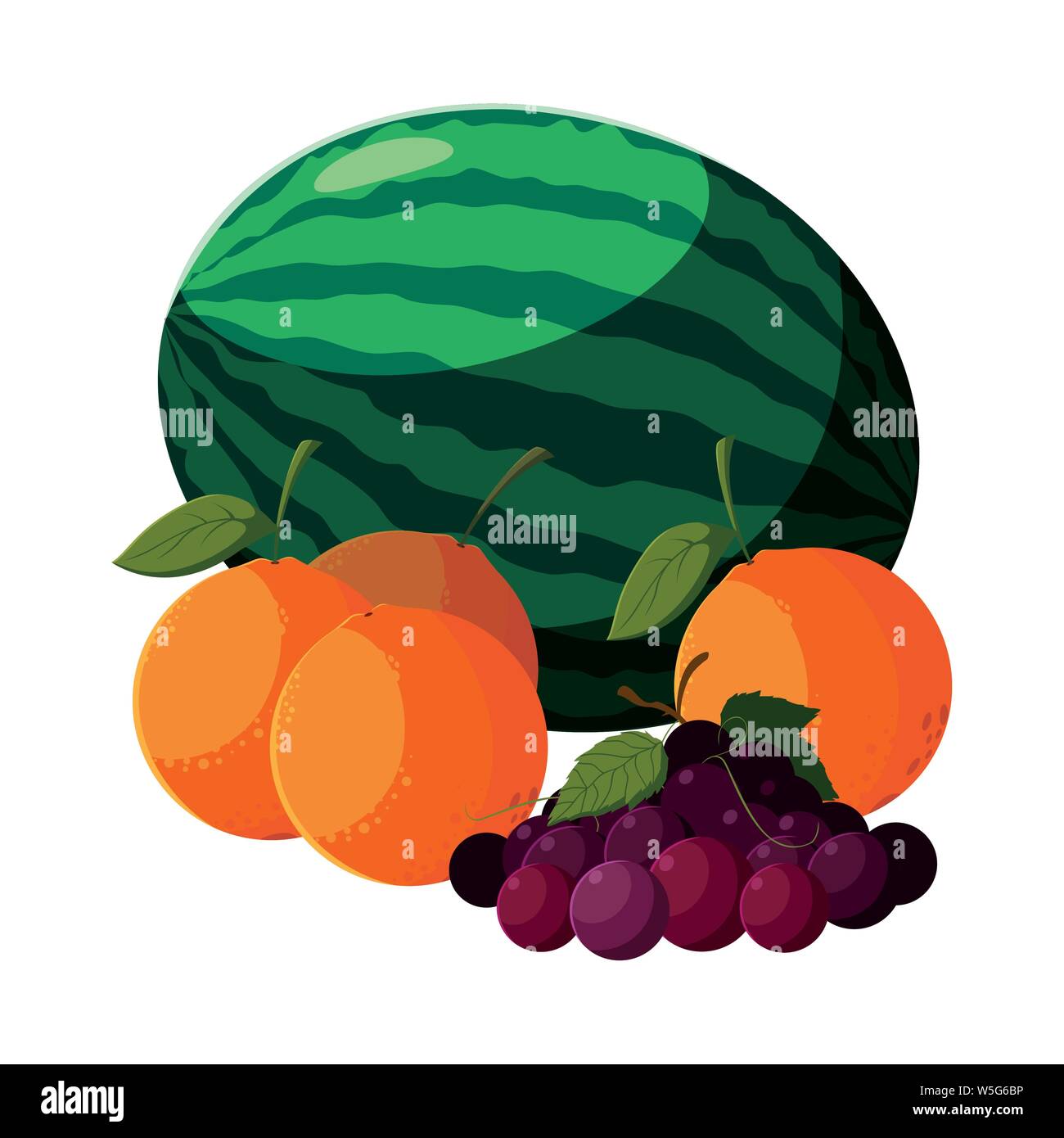 fresh fruits watermelon orange and grapes vector illustration Stock ...