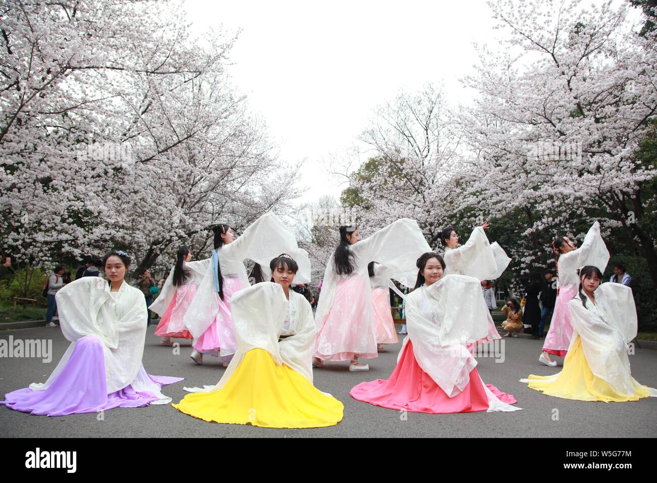 Chinese girls dressed in Hanfu or traditional Chinese costume perform Chinese girls dressed in Hanfu or traditional Chinese costume perform