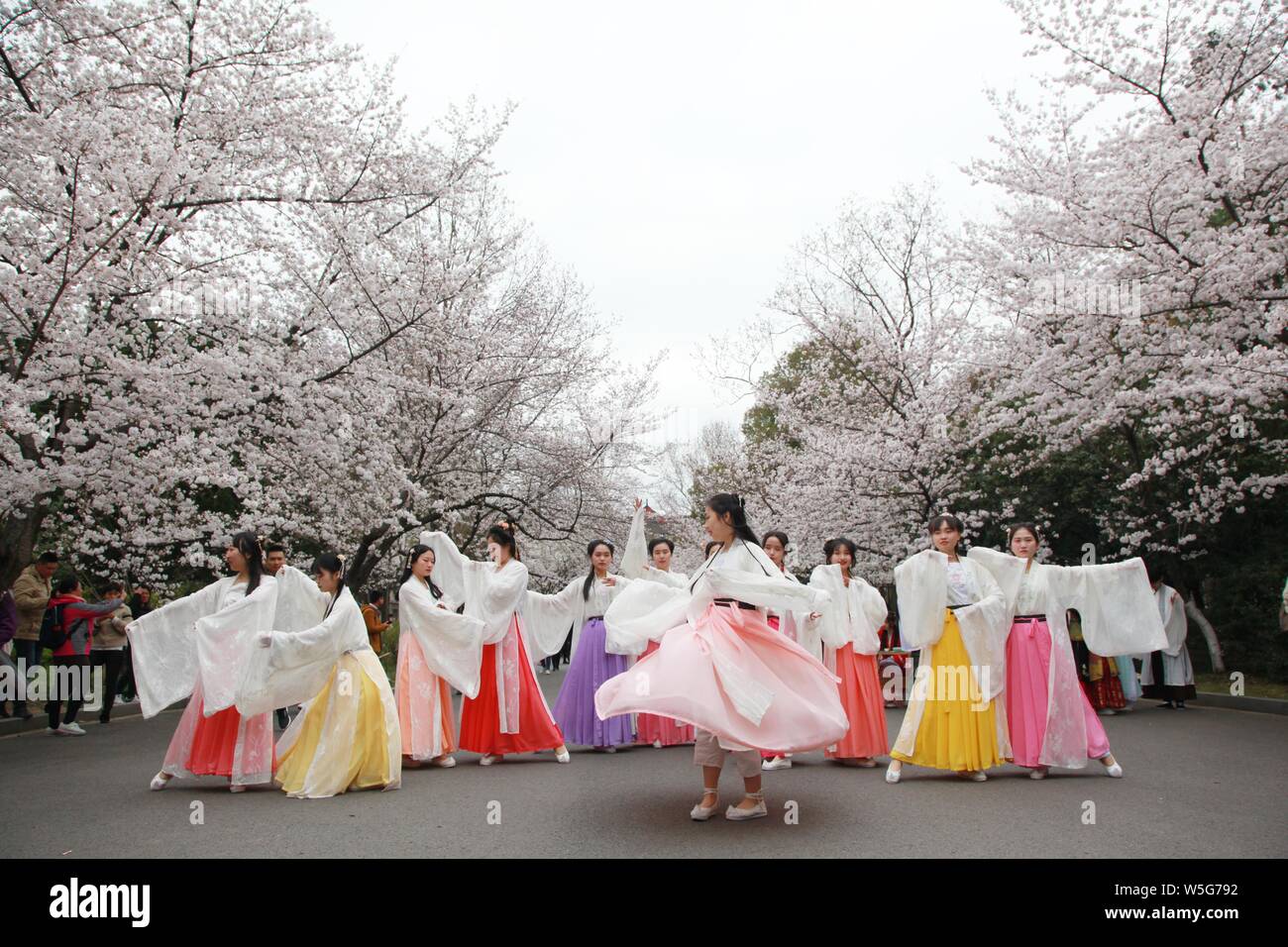 Chinese girls dressed in Hanfu or traditional Chinese costume perform Chinese girls dressed in Hanfu or traditional Chinese costume perform