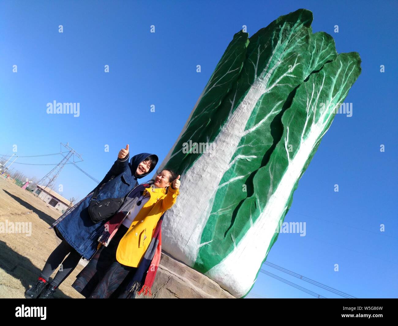 The 18-meter-tall huge sculpture featuring shape of Chinese cabbage, which is 4.5 meters in diameter, is displayed on a square in Dongying city, east Stock Photo