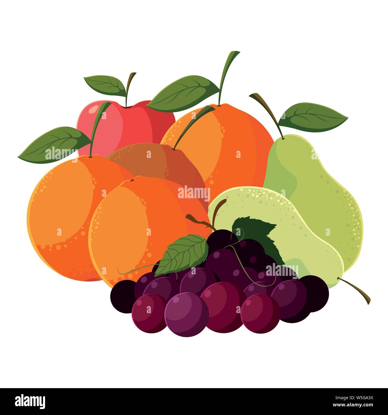 fresh fruits apple orange mango grapes pears vector illustration Stock ...