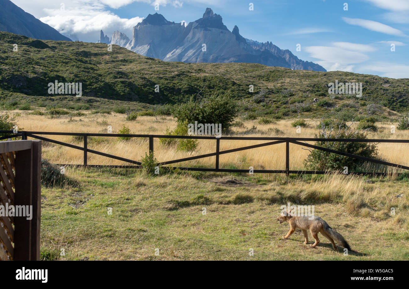 Torres del Paine Trek in Patagonia, Chile, South America Stock Photo