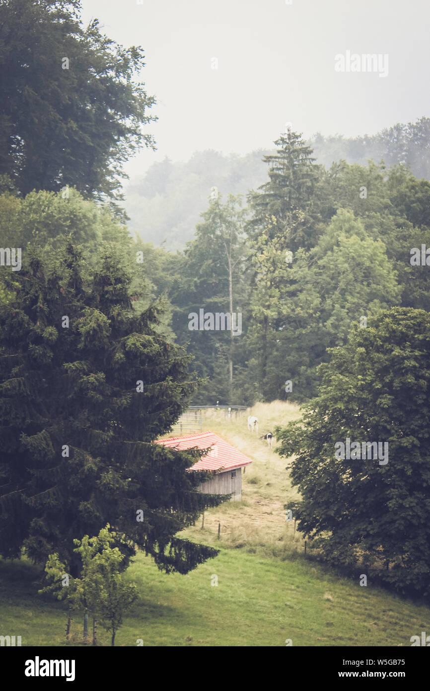 Vertical photo of moody autumn landscape in Vaud region, Switzerland. Foggy landscapes. Mist, misty. Retro vintage, hipster style. Lonely house on a field. Swiss Alps. Stock Photo