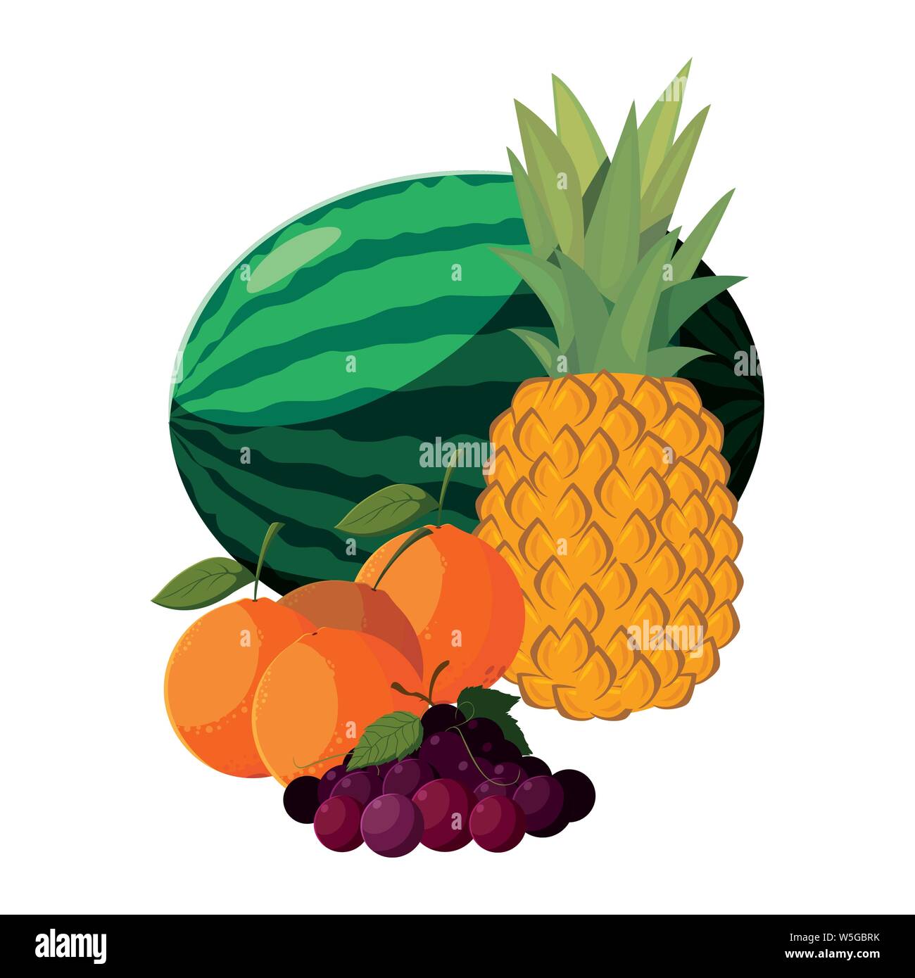 fresh fruits watermelon pineapple orange and grapes vector illustration ...