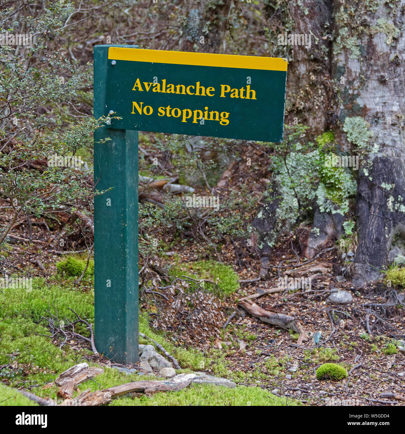 Avalanche warning sign, on a hiking trail in Nelson Lakes National Park, New Zealand. Stock Photo