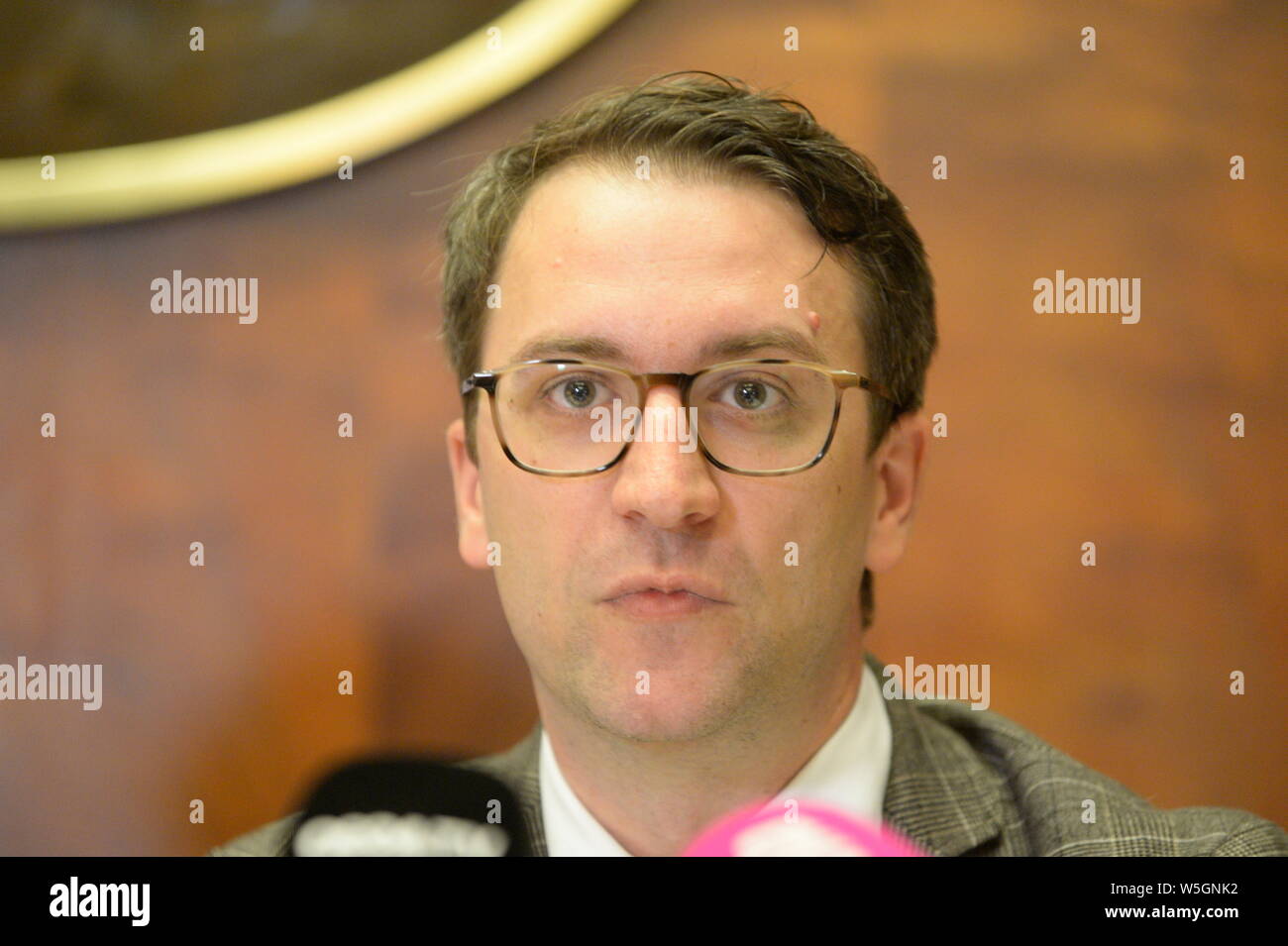 Vienna, Austria. 29th July 2019. Press conference in which party leader Maria Stern announced the other candidates of the “Party NOW” (Partei Jetzt) – “Liste Pilz” for the National Council election 2019. Picture shows candidate Thomas Walach. Credit: Franz Perc / Alamy Live News Stock Photo