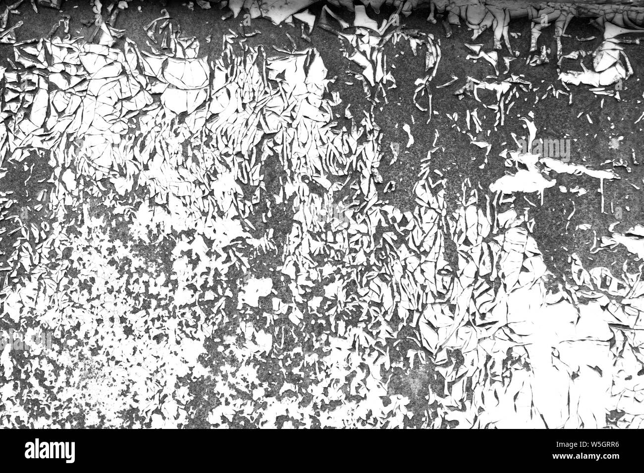 Old paint splatter contrast black and white texture background. Grunge scratch wall template for overlay artwork. Stock Photo