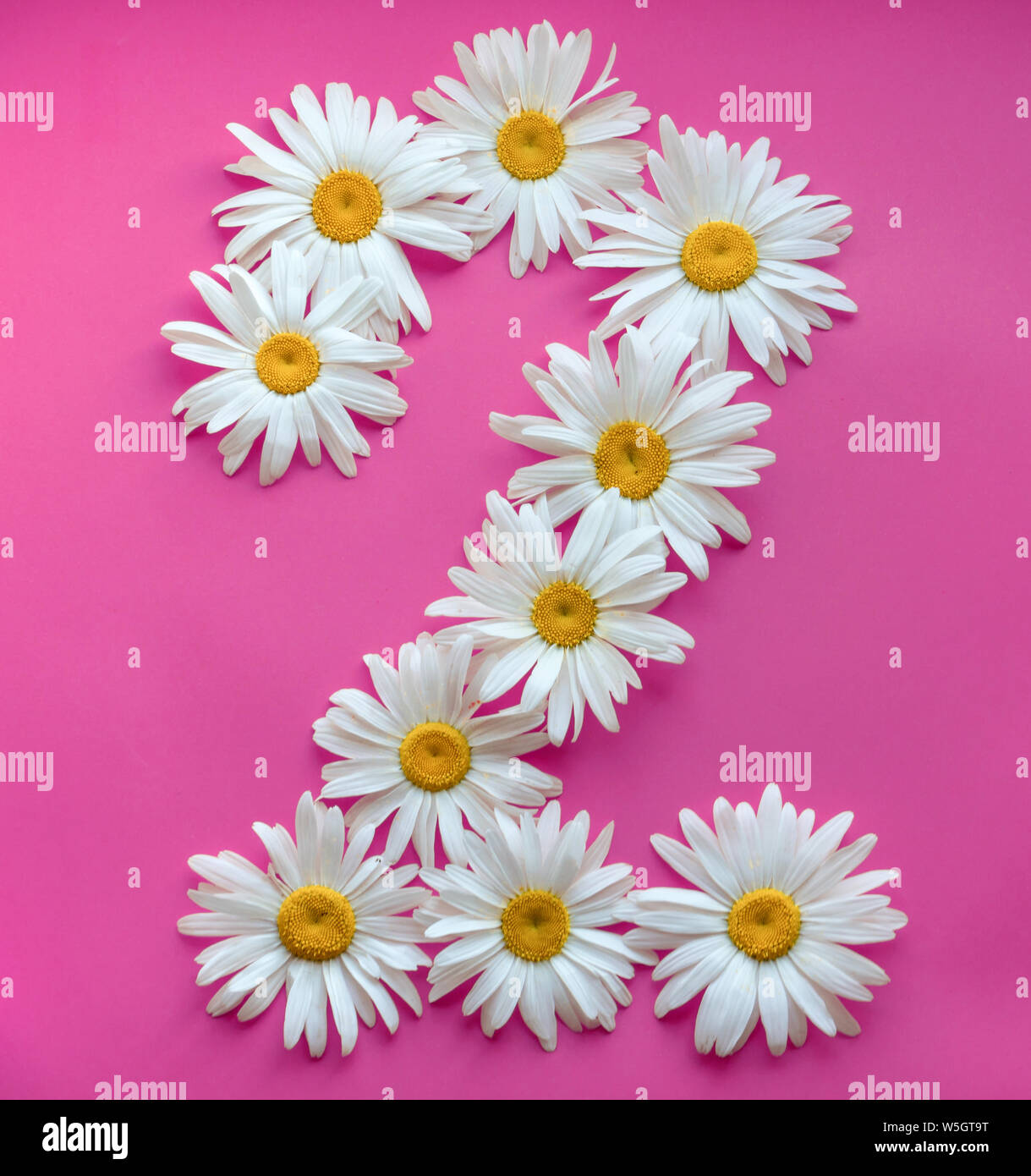 2, arabic numeral. Happy New Year 2020. Large daisies create a ...
