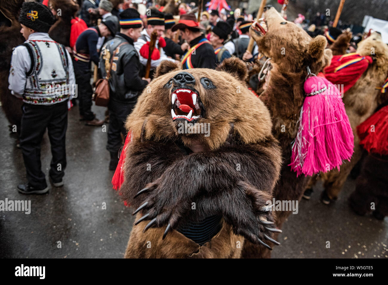 Bear dancing festival hires stock photography and images Alamy