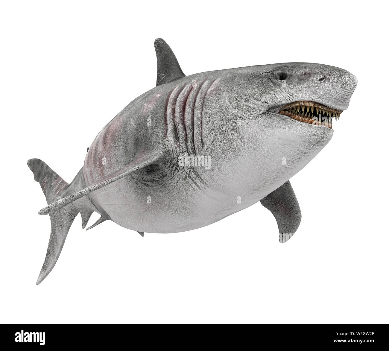 Giant shark hi-res stock photography and images - Alamy