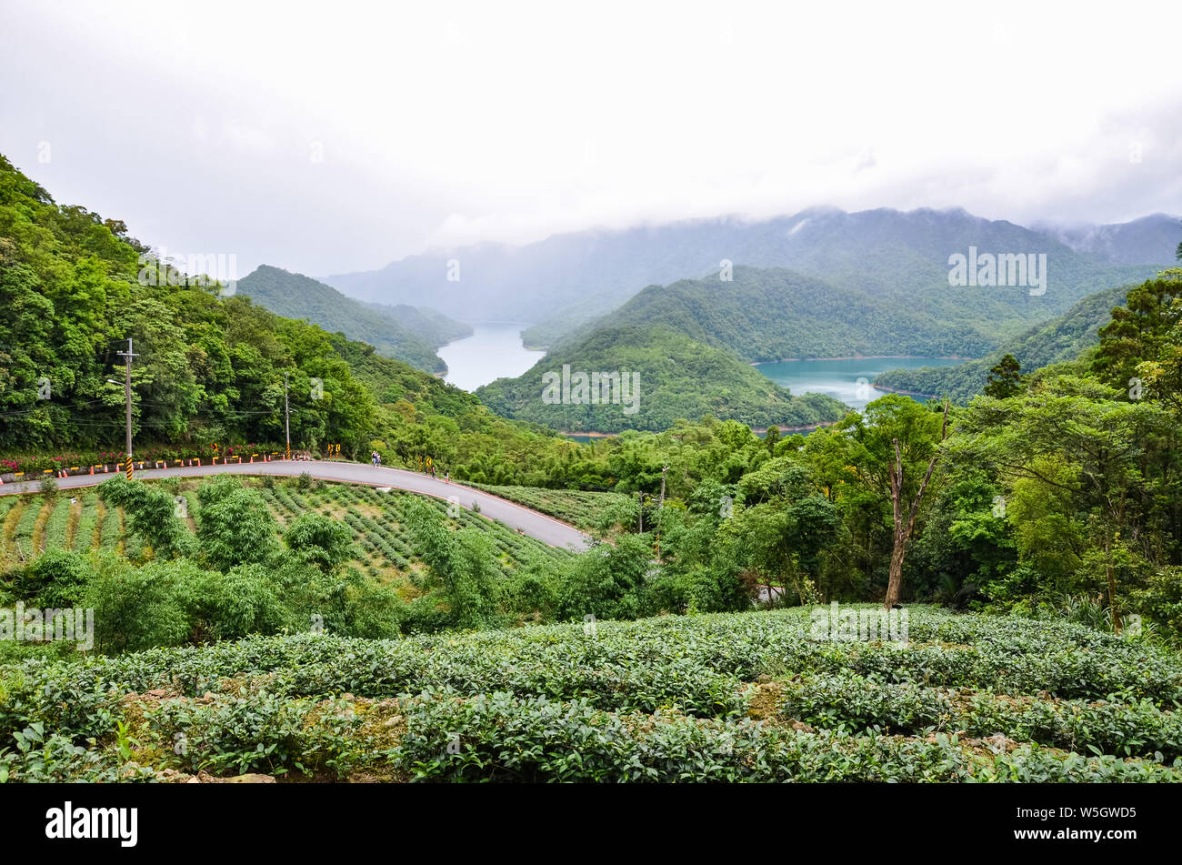 Thousand Island Lake surrounded by tea plantations and tropical forest, Taiwan, Asia. Moody landscape. Taiwanese nature. Travel destinations. Oolong tea plantation. Stock Photo