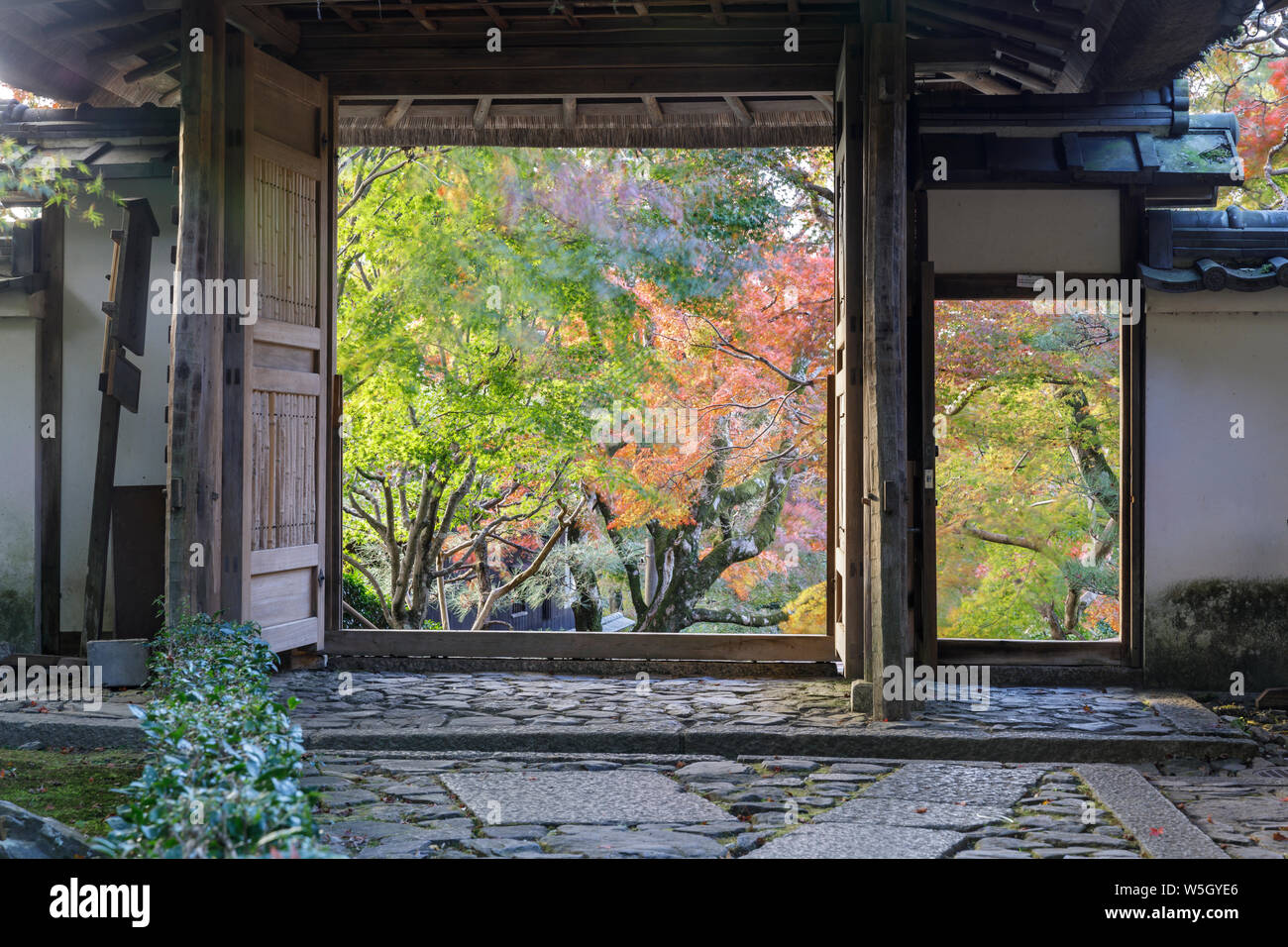 Autumn color in Anraku-ji temple in Kyoto, Japan, Asia Stock Photo