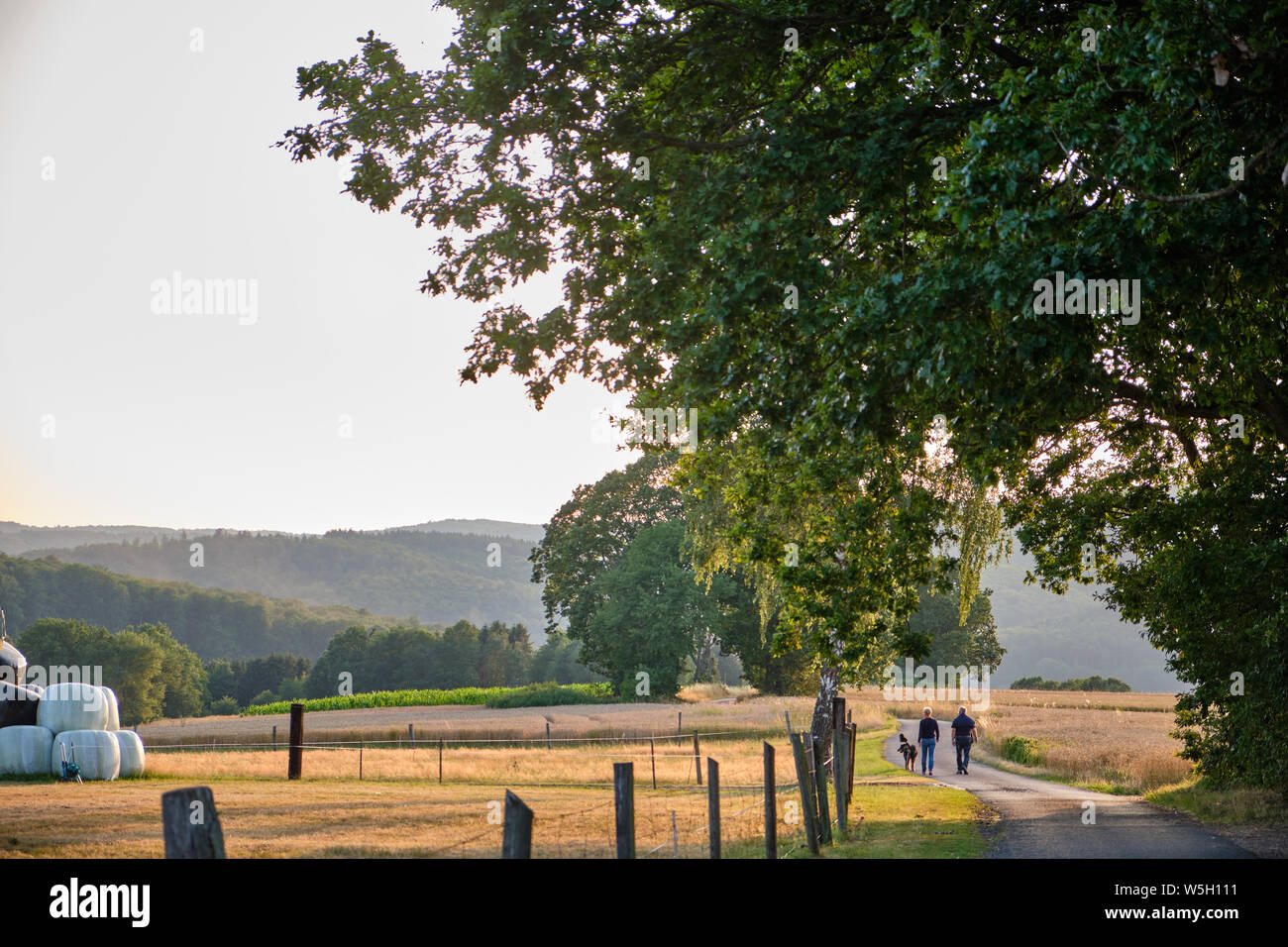 Beautiful evening landscape in the Spessart highlands near the town Bad Orb with two persons walking on a narrow countryside road Stock Photo