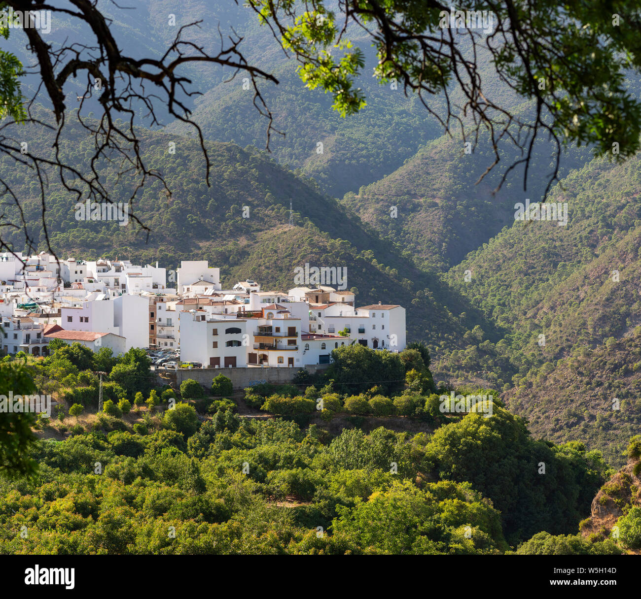 The white washed village of Istan, hidden in mountain range of Sierra de las Nieves, Andalusia, Spain Stock Photo