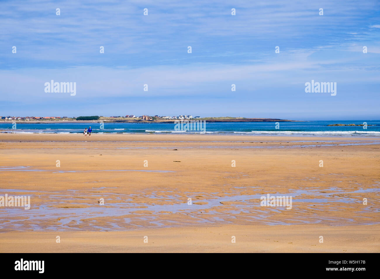 View across a quiet sandy beach and bay on northeast coast to village of Beadnell, Northumberland, England, UK, Britain Stock Photo