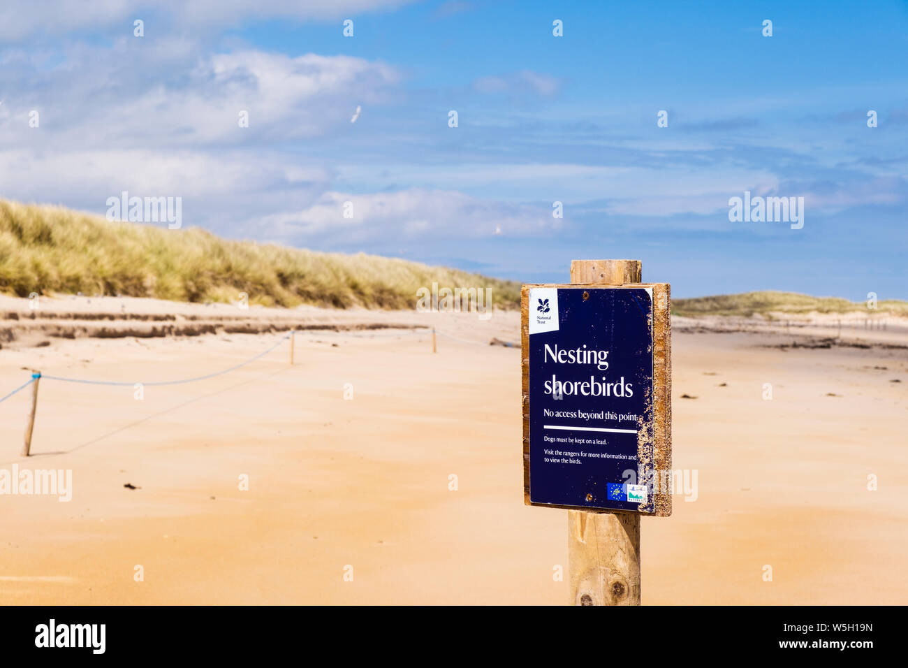 Sign for nesting birds (Terns) in roped off bird sanctuary in sand dunes on beach on northeast coast. Beadnell, Northumberland, England, UK, Britain Stock Photo