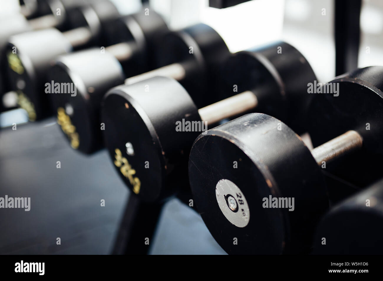 Weightlifting equipment hires stock photography and images Alamy
