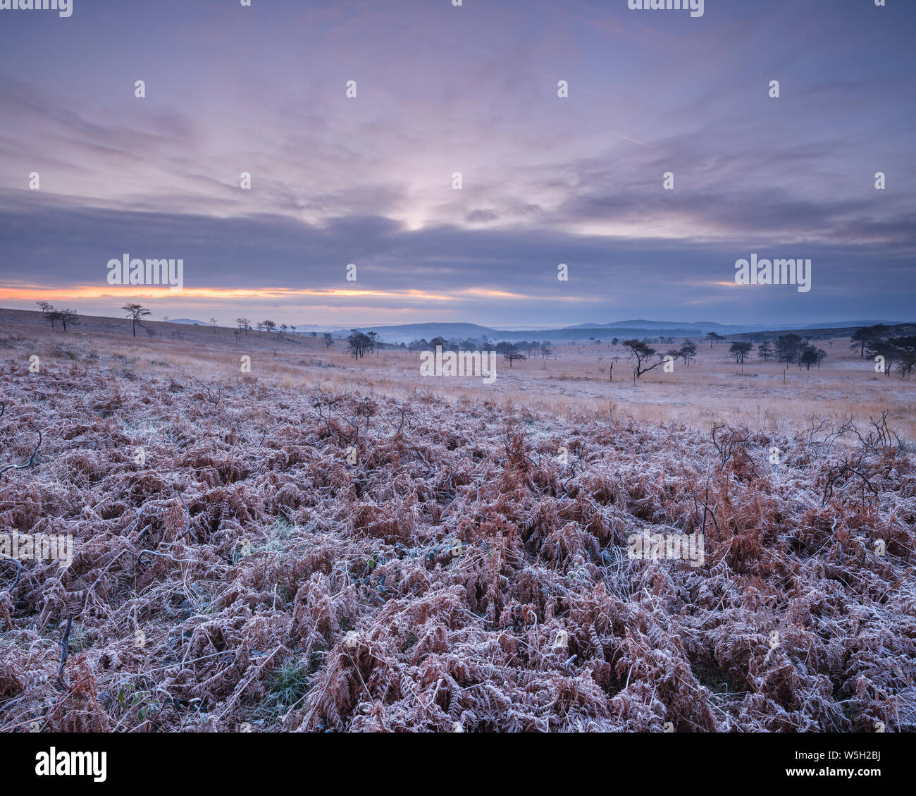 Woodbury common hires stock photography and images Alamy