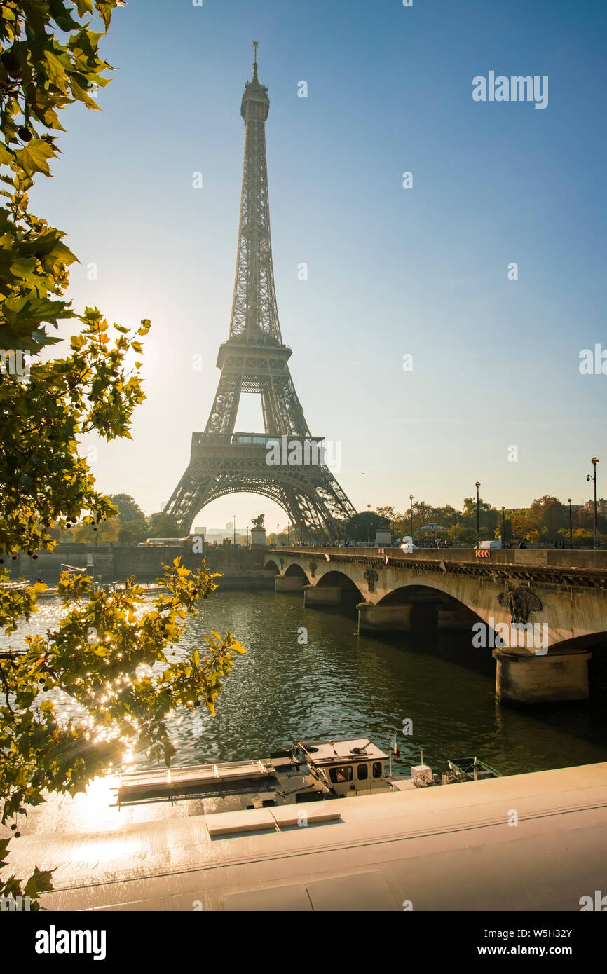 Eiffel Tower early in the morning, viewed from the other side of the River Seine, Paris, France, Europe Stock Photo
