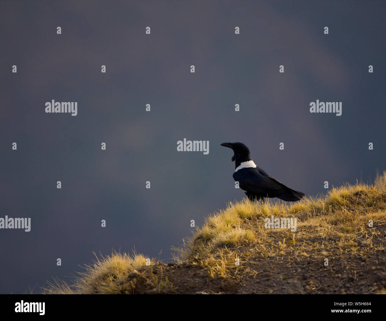 Montañas Simien, Etiopia, Africa Stock Photo Alamy