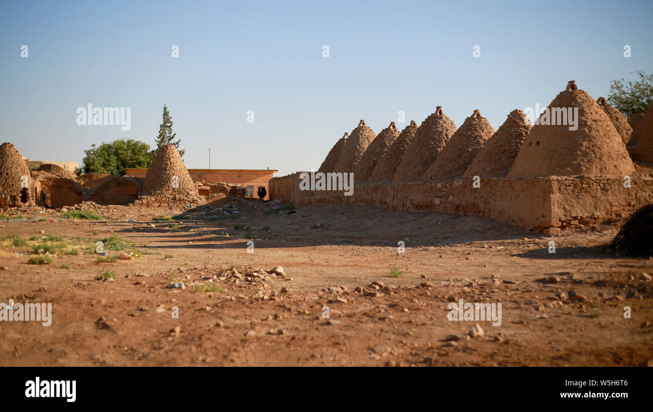 Harran Houses Sanliurfa Turkey Early Bronze Age. Pictures of the