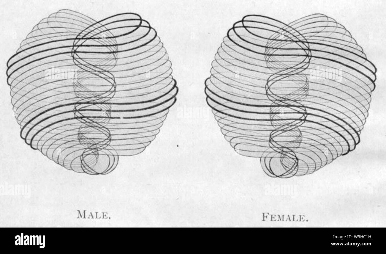 Besant and leadbeater hires stock photography and images Alamy