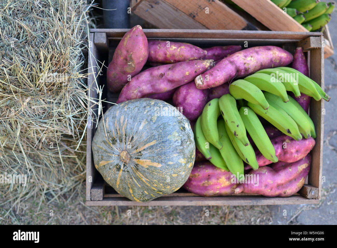 green banana, pumpkin and sweet potato in rustic wooden crate Stock Photo