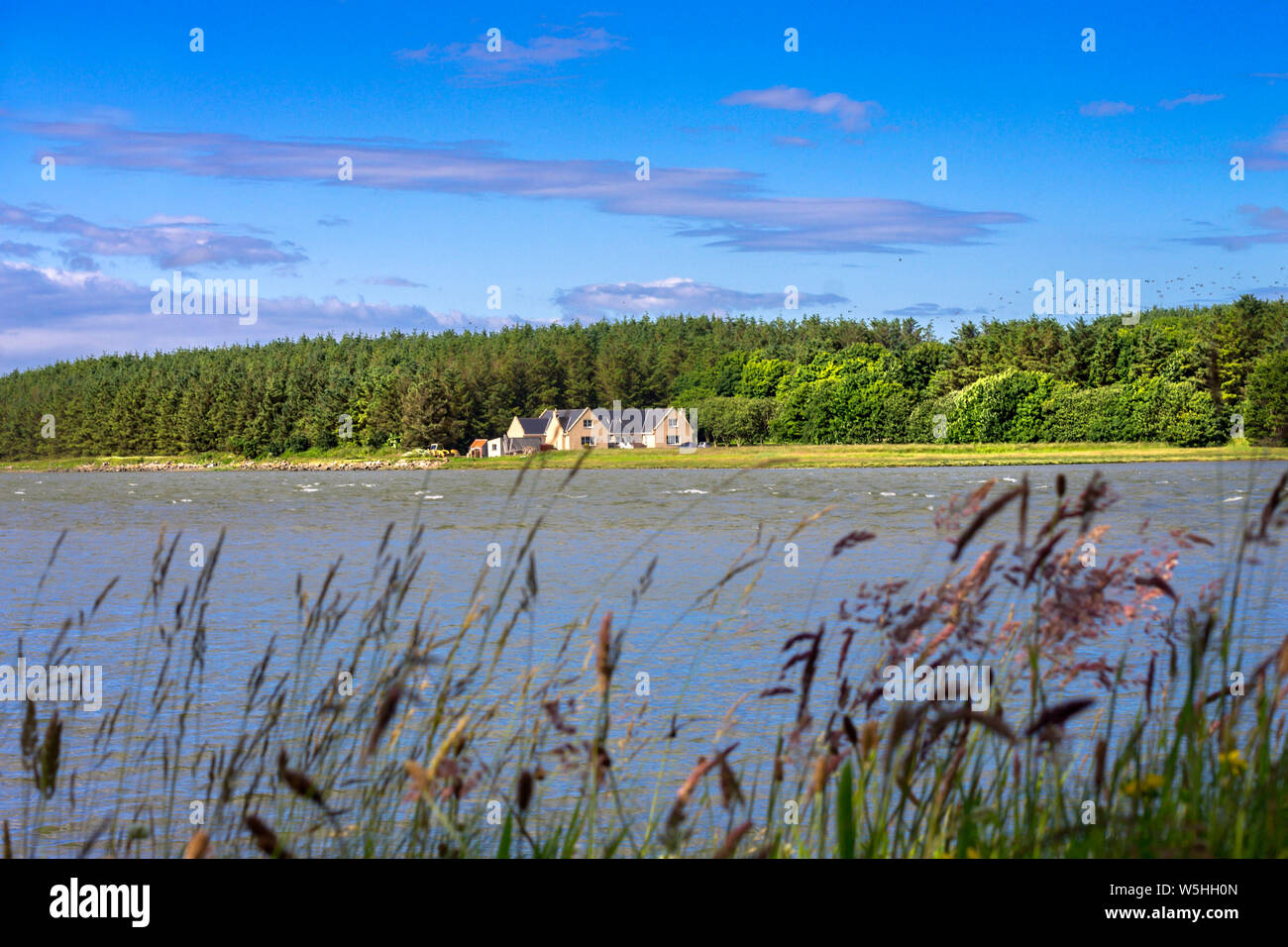 Newburgh aberdeenshire hires stock photography and images Alamy