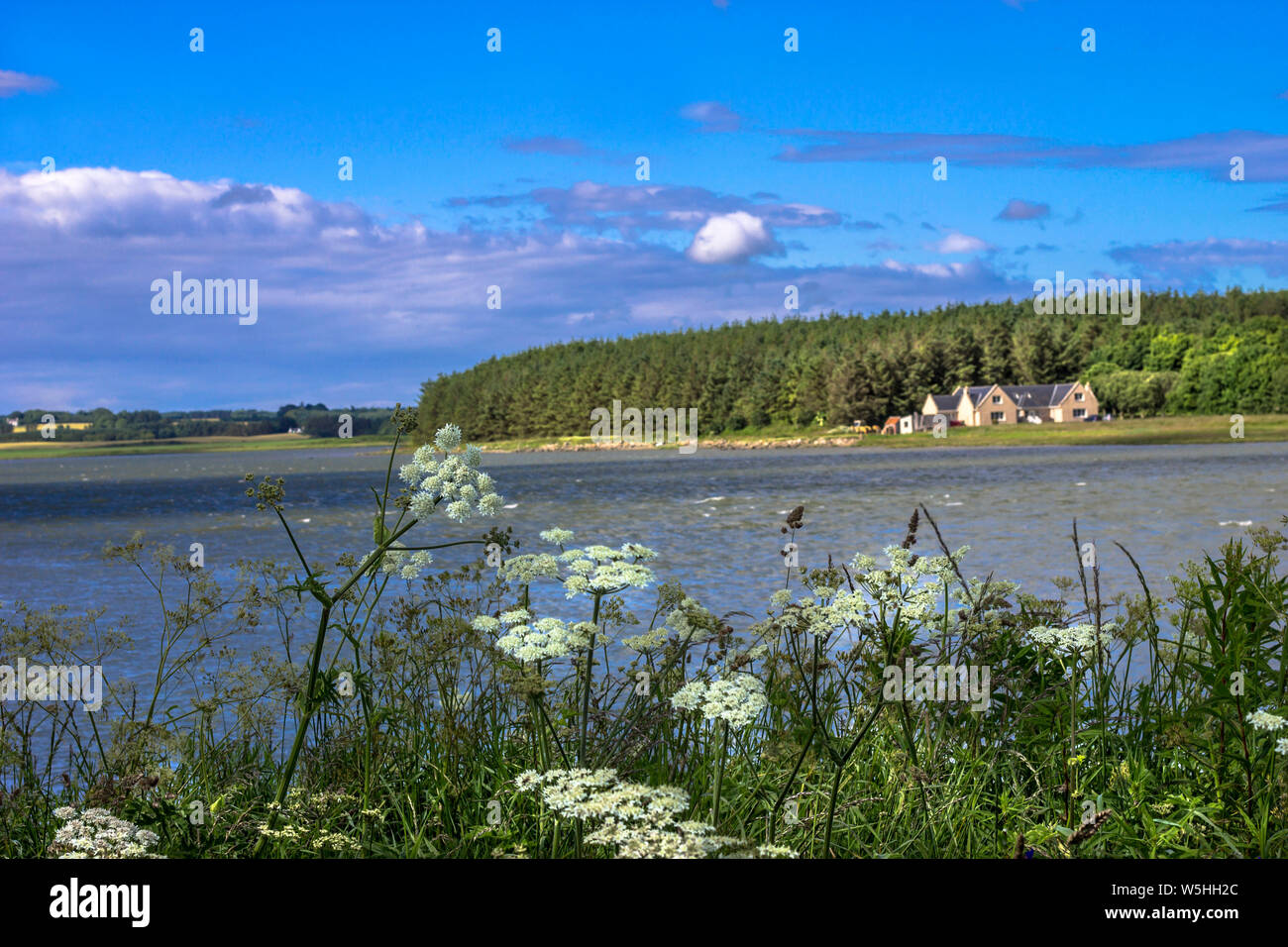 Newburgh, Aberdeenshire, Scotland, UK. A house by the lake. Ythan River