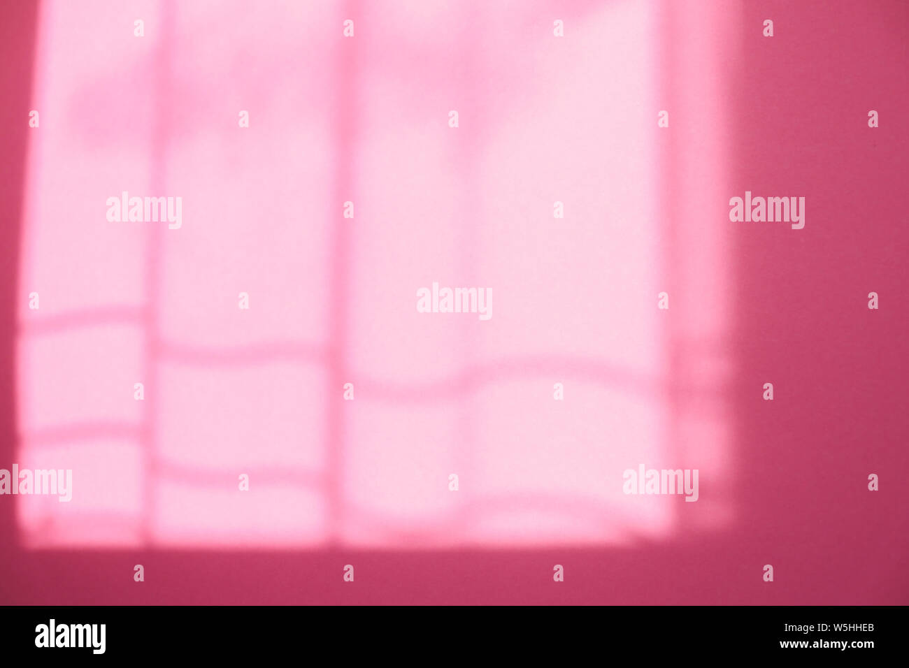 Shadow From Curtains On Pink Background Shadow On Bright Girls