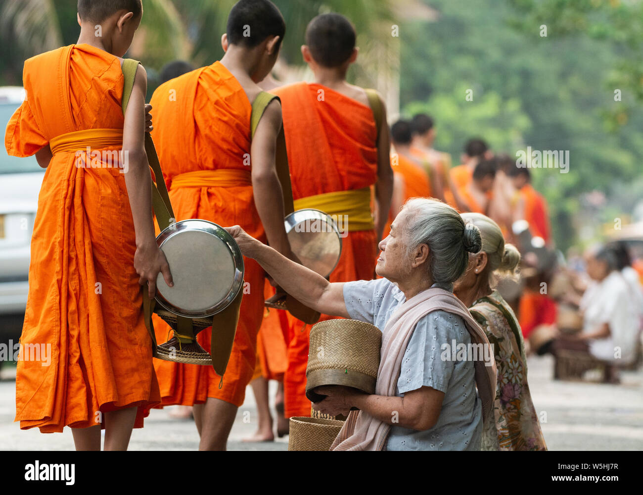 Laotian people making offerings to Buddhist monks during traditional sacred alms giving ceremony in Luang Prabang city, Laos. Stock Photo